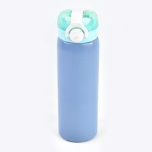Stainless Steel Water Bottle (500ML)